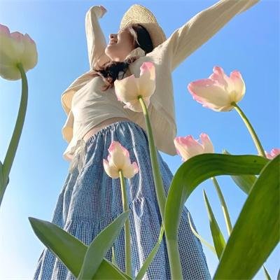 丝黛芬妮